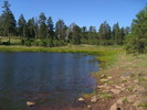 photo thumbnail #2