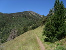 photo thumbnail #6