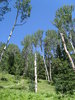 photo thumbnail #12