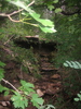 photo thumbnail #11