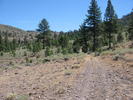 photo thumbnail #1