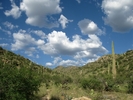 photo thumbnail #5