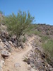 photo thumbnail #3