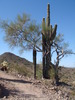 photo thumbnail #4