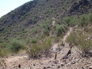 photo thumbnail #5