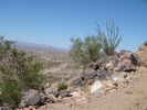 photo thumbnail #6