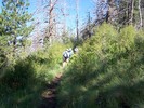 photo thumbnail #3