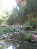 photo thumbnail #8