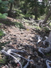 photo thumbnail #3