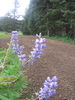 photo thumbnail #12