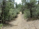photo thumbnail #1