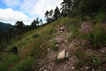 photo thumbnail #8