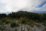 photo thumbnail #13