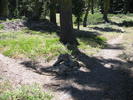 photo thumbnail #4