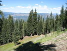 photo thumbnail #6