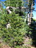photo thumbnail #10