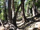 photo thumbnail #13