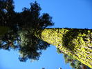 photo thumbnail #14