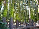 photo thumbnail #15