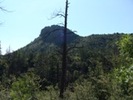 photo thumbnail #1