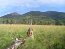 photo thumbnail #9