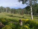 photo thumbnail #11