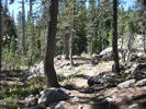 photo thumbnail #6