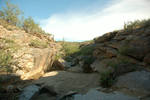 photo thumbnail #5
