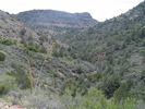 photo thumbnail #7