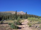 photo thumbnail #5