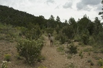 photo thumbnail #9