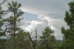 photo thumbnail #11