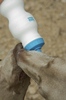 photo thumbnail #12