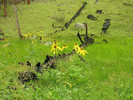 photo thumbnail #3