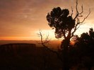 photo thumbnail #13
