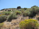 photo thumbnail #10