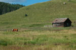 photo thumbnail #1
