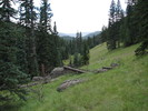 photo thumbnail #2