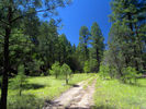 photo thumbnail #3