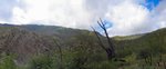 photo thumbnail #7