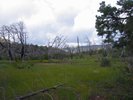 photo thumbnail #9
