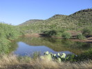 photo thumbnail #1
