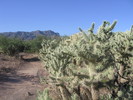 photo thumbnail #2