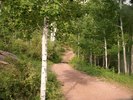 photo thumbnail #7