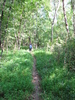 photo thumbnail #4
