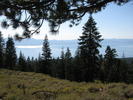photo thumbnail #4