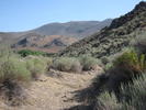 photo thumbnail #3