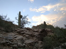 photo thumbnail #2