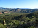 photo thumbnail #4