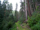 photo thumbnail #3